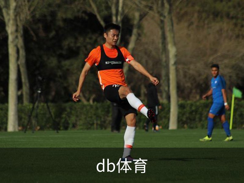 了解db体育